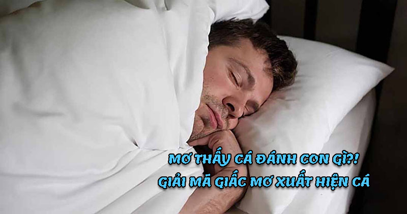 Mơ thấy cá đánh con gì? Giải mã những giấc mơ xuất hiện cá