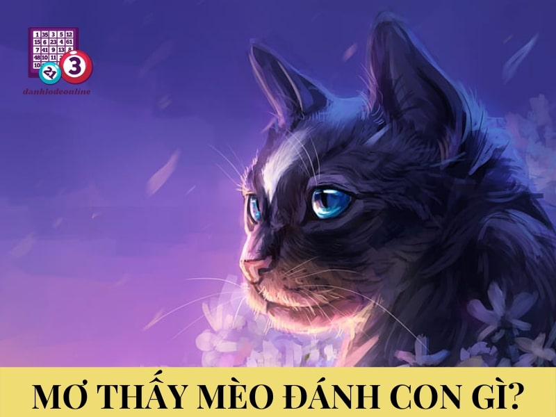Giải mã giấc mơ thấy mèo đánh con gì? 1 Ngủ mơ thấy mèo