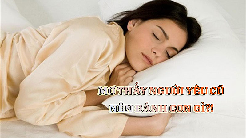 Tổng hợp các giấc chiêm bao mơ thấy người yêu cũ đánh con gì?