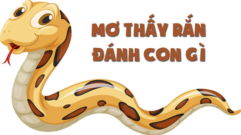 Mơ thấy rắn đánh con gì? Giấc mơ rắn là điềm báo lành hay dữ?