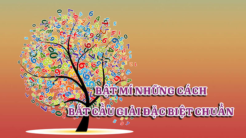 Bật mí những cách bắt cầu giải đặc biệt cực chuẩn