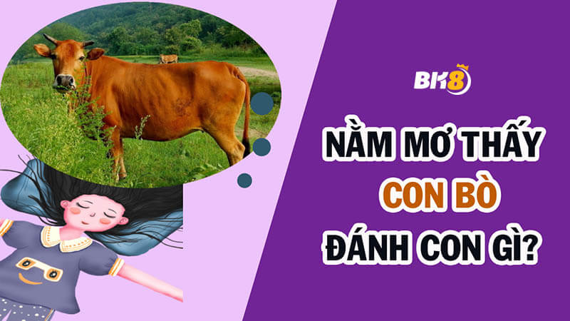 Mơ thấy bò đánh con gì? Điềm báo đảm bảo trúng 100%