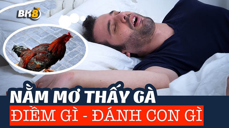 Mơ thấy gà đánh con gì? là điềm báo gì? đánh số mấy
