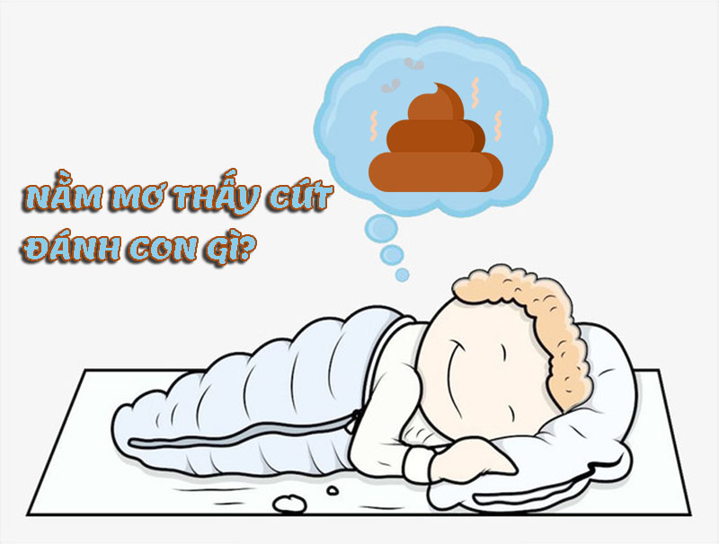 Nằm mơ thấy cứt là điềm báo gì? Đánh đề bao nhiêu khi mơ thấy cứt?