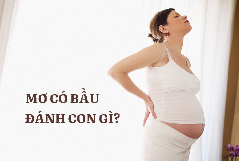 Mơ có bầu đánh con gì? dễ ăn nhất điềm báo điều gì